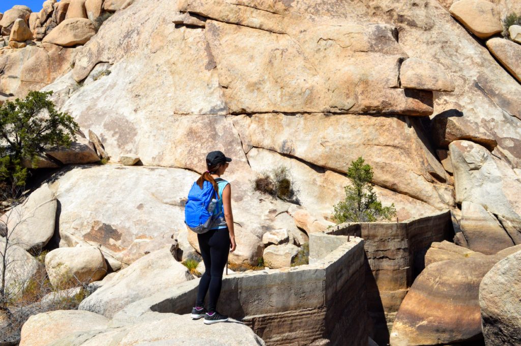 joshua-tree-barker-dam