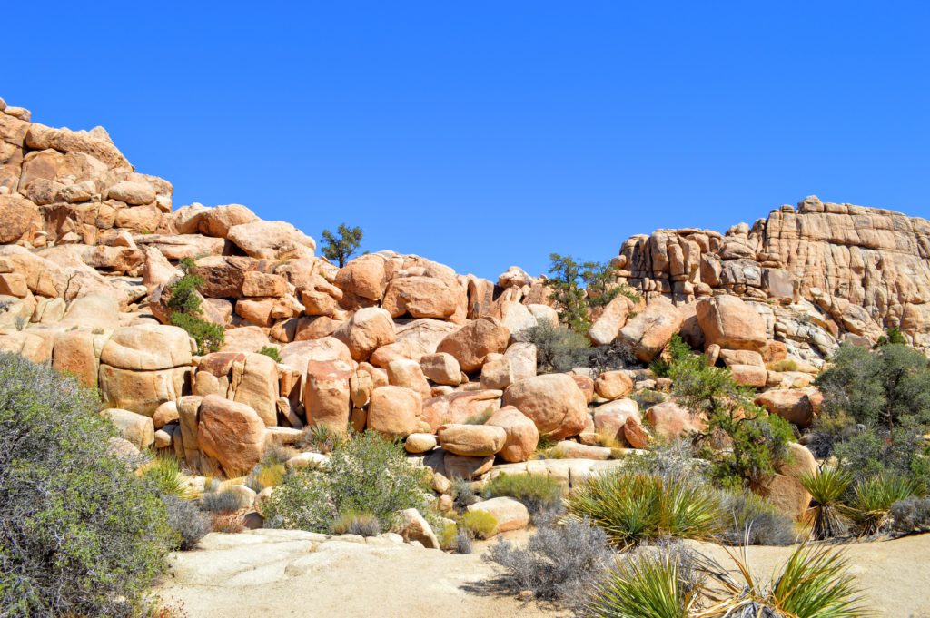 joshua-tree-hidden-valley