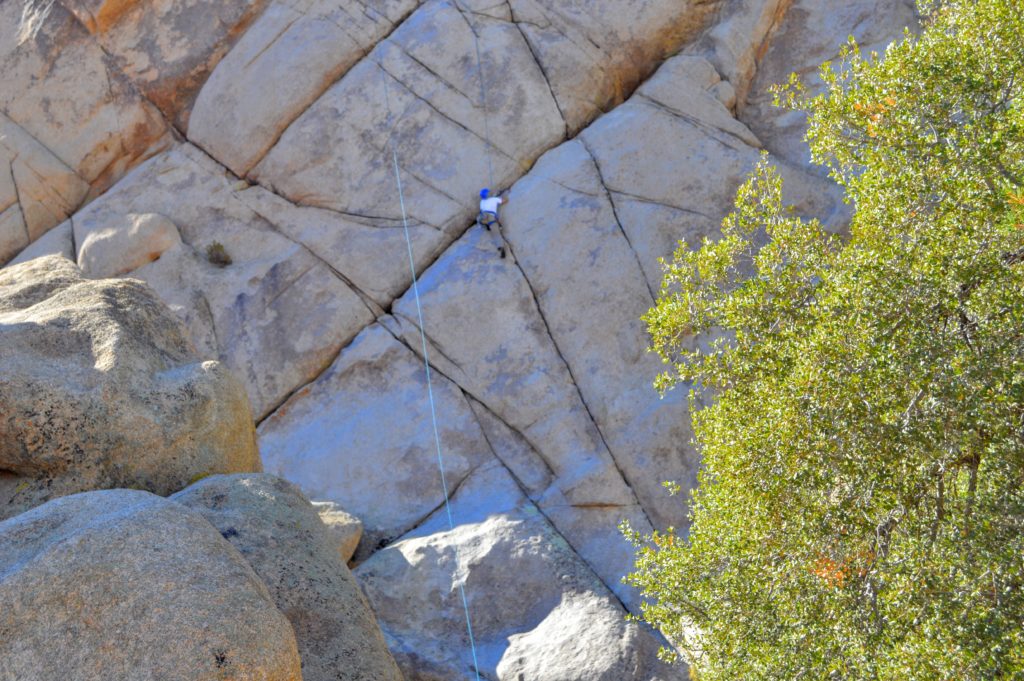 joshua-tree-rock-climbing