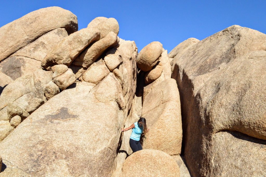 joshua-tree-stuck-split-rock