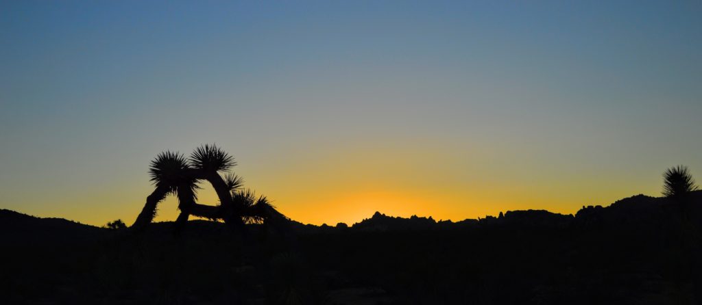 joshua-tree-sunset-6