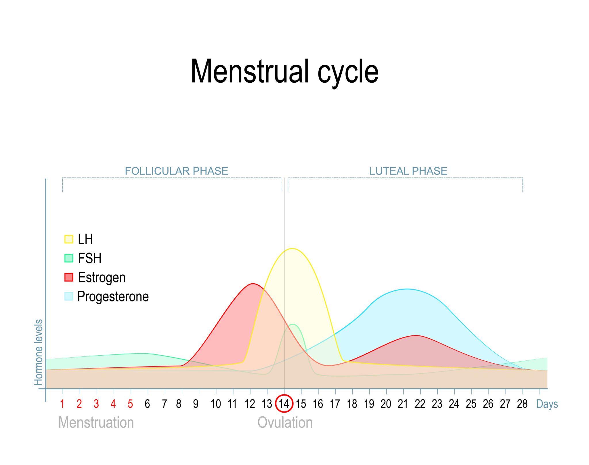 Women's Health 101 with Parsley Health Event Recap The Dimple Life