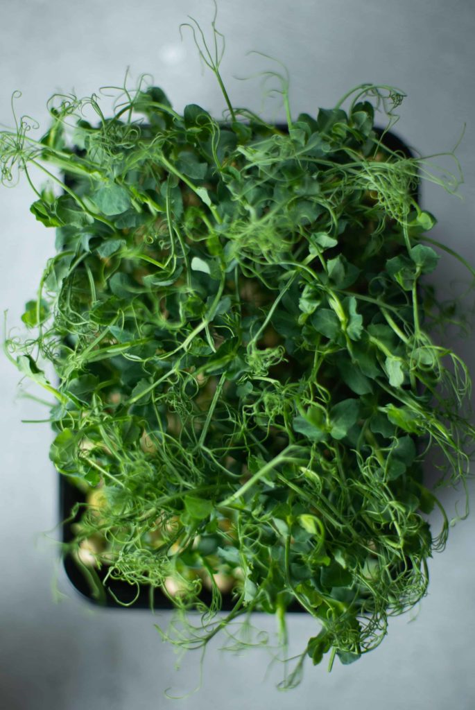 5 Foods That Help Prevent Cancer