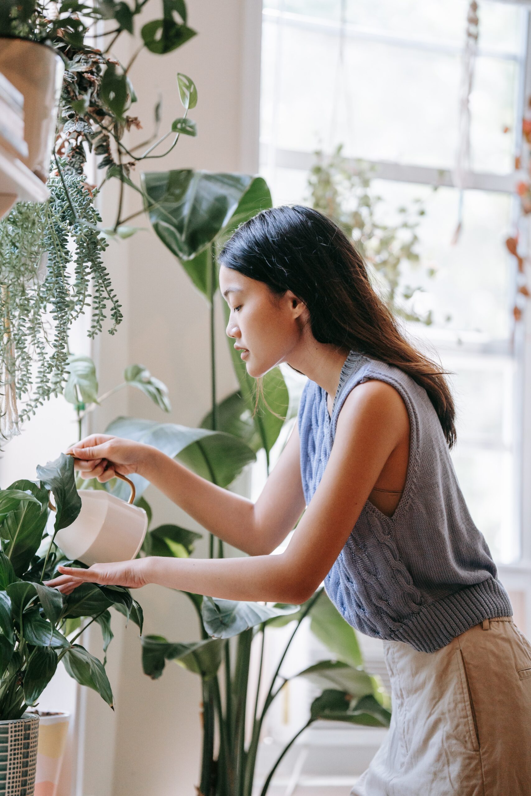 Round up of house plants that will grow well indoors in the fall season. #HousePlants #Monstera #SnakePlant #IndoorPlant #TheDimpleLife