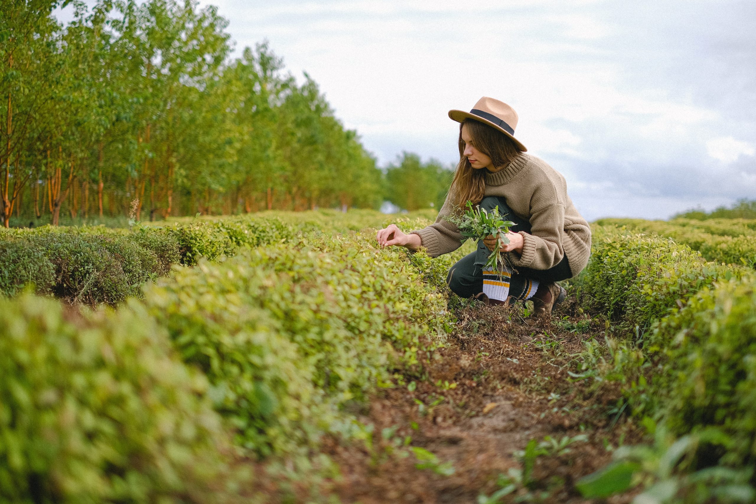 How to add more mindfulness to your life by activating your senses. #SpiritualSenses #SensesActivities #TheDimpleLife