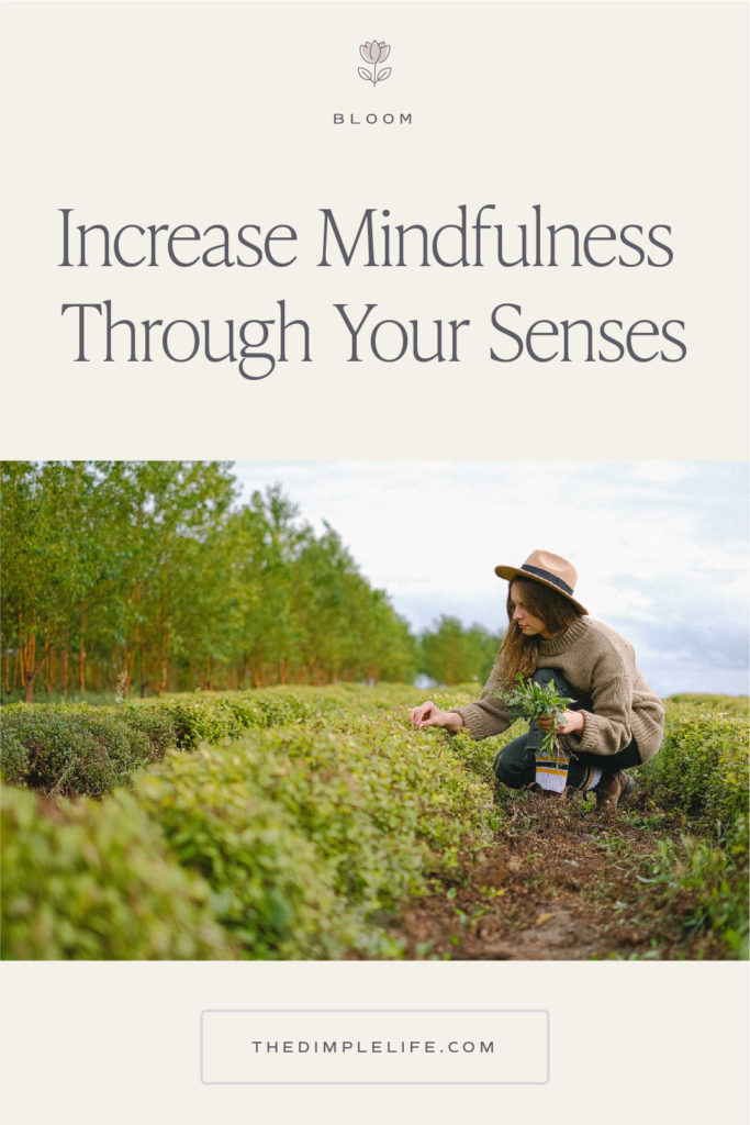 Learn how you can activate your senses each day through mindfulness and intentional living . #ActivateYourSenses #MindfulnessSenses #IntentionalLiving #TheDimpleLife