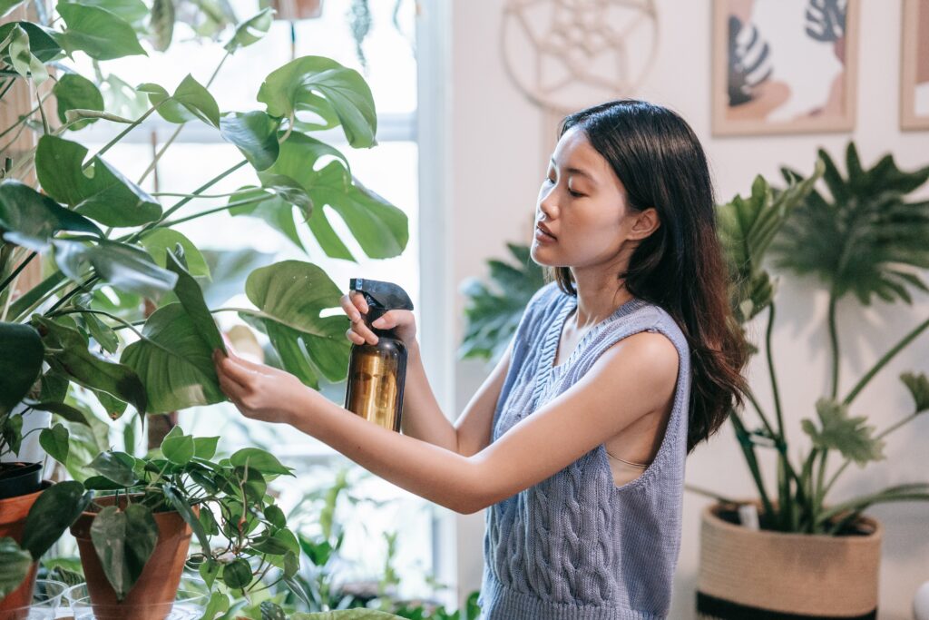 Caring for plants throughout changing seasons takes patience and intentional effort. Learn the tips it takes to manage your indoor plants throughout the seasons.